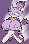  1girl big_breasts blaze_the_cat breasts cute nipples sega sonic_*(series) sonic_the_hedgehog_(series) tail vkyrie 