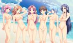  6+girls 6girls aoi_matsuri areola beach blush breasts clavicle cleavage crossed_arms erect_nipples facing_viewer firm_breasts himuro_rikka hinata_hanabi koutaro looking_at_viewer minazuki_izumi multiple_girls navel nipples novagina nude saotome_nagi suzukaze_hotaru tropical_kiss 