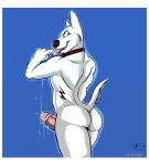  2010 bolt_(character) bolt_(disney) disney dog furry yaoi 