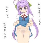  1girl blouse bow bow_panties dress dress_lift hair_bow lingerie long_hair magikano maika maika_yoshikawa panties petticoat print_panties printed_panties purple_eyes purple_hair skirt skirt_lift standing thigh_gap thighs underwear upskirt very_long_hair yoshikawa_maika yuuichi yuuichi_(artist) yuuichi_(tareme_paradise) 