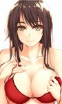  1girl akagi_(kantai_collection) bikini blush bra breasts brown_eyes brown_hair cleavage clock_(clockart) collarbone ecchi female hentai kantai_collection large_breasts long_hair looking_at_viewer morizono_shiki smile solo swimsuit upper_body white_background 