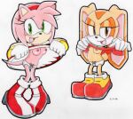 2_girls amy_rose breasts breasts_out cream_the_rabbit dress_lift furry furry_female hedgehog looking_at_viewer nipples panties rabbit sega skirt_lift sonic_the_hedgehog_(series) underwear white_panties