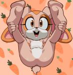 1boy ai_generated ass brown_eyes completely_nude_male cream_the_rabbit cub furry furry_male legs_grab legs_up looking_at_viewer male_focus nude_male open_mouth sega sonic sonic_the_hedgehog_(series) spread_legs two_tone_fur 