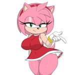  1girl 1girl amy_rose breasts furry hedgehog looking_at_viewer panties pantyshot sega sega solo_female solo_focus sonic_the_hedgehog_(series) thighs underwear white_panties 