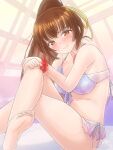 1girl alluring big_breasts bikini blush brown_eyes brown_hair dead_or_alive dead_or_alive_2 dead_or_alive_3 dead_or_alive_4 dead_or_alive_5 dead_or_alive_6 dead_or_alive_xtreme_venus_vacation kasumi kasumi_(doa) kunoichi long_hair oekaki_lemon ponytail rei_no_pool silf sitting swimming_pool swimsuit tecmo