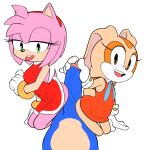  1girl 2_girls alternate_version_available amy_rose buttjob cream_the_rabbit double_buttjob erect_penis erection furry grinding grinding_on_penis hand_on_penis hedgehog penis pov pov_crotch rabbit sega skirt_lift sonic_the_hedgehog sonic_the_hedgehog_(series) 