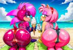 amy rose from sonic the hedgehog (series)