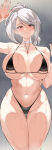seria kirmin from dungeon and fighter by kook