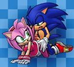 1boy 1girl amy_rose buttjob buttjob_over_clothes edit erection furry grinding hands_on_ass hedgehog humping on_knees panties penis penis_on_ass sega sonic_the_hedgehog sonic_the_hedgehog_(series) underwear white_panties