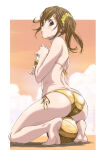 misaki (doa) from dead or alive
