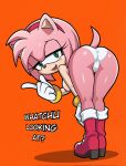 amy rose from sega