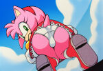 1girl amy_rose ass butt butt_focus furry furry_female looking_back_at_viewer panties pantyshot sega skirt_lift solo_female sonic_the_hedgehog_(series) squatting underwear upskirt white_panties 