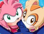amy rose from sega by sj7