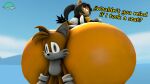  cindablimp honey_the_cat miles_&quot;tails&quot;_prower sega sonic_the_hedgehog_(series) tails 