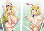 2girls against_glass animal_ears areola_slip areolae armpits arms_up bare_shoulders bell bell_collar big_breasts bikini blonde_hair blue_eyes blush breast_press breasts bunny_ears bunny_girl cat_ears cat_girl cat_tail cecilia_alcott charlotte_dunois cleavage collar cover detached_collar drill_hair erect_nipples fake_animal_ears fake_tail fishnet_legwear fishnets hair_ribbon hairband hands happy hips infinite_stratos large_breasts legs long_hair looking_at_viewer multiple_girls navel nipples open_mouth palms ponytail purple_bikini purple_eyes ribbon side-tie_bikini simple_background sling_bikini smile standing swimsuit tail takeda_hiromitsu thighhighs thighs white_bikini white_swimsuit wrist_cuffs