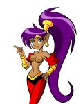 arabic breasts dark_skin geine long_hair nipples ponytail purple_hair render shantae shantae_(character) simple_background smile topless transparent_background video_games wayforward