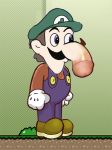  luigi mario mawio nintendo super_mario_bros. weegee 