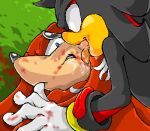  knuckles_the_echidna manaita sega shadow_the_hedgehog sonic_(series) sonic_team 