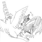  articuno honchkrow pokemon tagme 