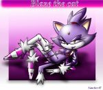 blaze_the_cat nancher sega solo sonic sonic_the_hedgehog_(series) text