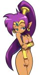 1girl arabic armbands blue_eyes breasts earrings embarrassed nipples nude ponytail purple_hair render shantae shantae_(character) simple_background tan_skin transparent_background vest wide_hips