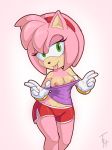 1girl 2016 amy_rose anthro areola big_breasts breasts erect_nipples furry hedgehog mammal nipples sega sonic_(series) sonic_the_hedgehog_(series) the_other_half