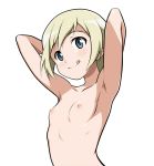 1girl 1girl 1girl armpits arms_behind_head blonde blue_eyes blush breasts clavicle closed_mouth erica_hartmann eyebrows_visible_through_hair looking_at_viewer monousa nipples nude shiny shiny_hair shiny_skin short_hair simple_background small_breasts smile strike_witches tongue tongue_out upper_body white_background world_witches_series