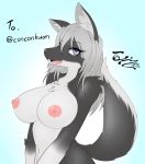 1girl 1girl 2016 anthro areola big_breasts black_fur blue_background blue_eyes breasts canine english_text fox fur furry grey_fur grey_hair hair inner_ear_fluff long_hair looking_at_viewer mammal navel nipples nude open_mouth signature simple_background smile tailzkim teeth text tuft white_fur