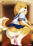 ass barefoot bbmbbf chubby dildo dildo_in_vagina fur34 fur34* furry palcomix pussy school_uniform shiba_inuko-san shiba_inuko-san_(character) soles toes tongue tongue_out