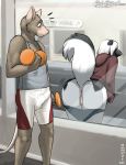 anthro anus ass ass_press furry gym public pussy window