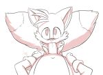 anthro aogami cub fellatio first_person_view furry high_res male male/male miles_"tails"_prower oral sega sex white_background young