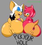 1girl 2016 amy_rose anthro anus ass bat big_ass big_breasts breasts duo furry hedgehog high_res huge_ass huge_breasts mammal pussy rouge_the_bat scarecorrode sega thecon