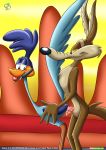  anal anthro bbmbbf palcomix rear_deliveries road_runner roadrunner tagme warner_brothers wile_e._coyote yaoi 