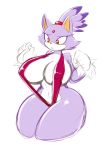 blaze the cat from sega by averyshadydolphin