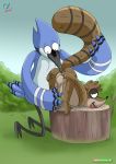 anal analingus bird blue_fur blue_jay brown_fur mordecai outdoors penis raccoon rear_deliveries regular_show rigby size_difference tree_stump yaoi