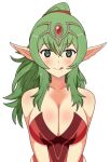 1girl alluring barely_clothed big_breasts chiki cleavage fire_emblem fire_emblem:_kakusei fire_emblem_awakening green_hair horny licking_lips manakete naughty_face nintendo no_bra no_panties no_underwear orbiculare seductive_smile tiki tiki_(adult)_(fire_emblem) tiki_(fire_emblem)