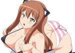 ass big_ass big_breasts breasts brown_hair cat_ears green_eyes sophia_esteed star_ocean star_ocean_till_the_end_of_time