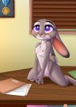  1girl 2016 anthro belly blush breasts chest_tuft claws desk disney folder furry judy_hopps kneel lagomorph mammal medal midriff navel nipples nude paper purple_eyes pussy rabbit rika_(artist) small_breasts smile spread_legs spreading tuft zootopia 