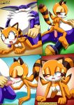  1girl bbmbbf big_the_cat furry m.e.s.s._3 marine_the_raccoon mobius_unleashed palcomix sega sonic_(series) sonic_the_hedgehog_(series) tagme 