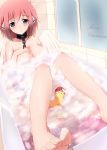 bath_tub bathroom blush christmas duck ikaros looking_at_viewer nude rubber_duck rubber_ducky sora_no_otoshimono tub