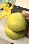  1boy 1girl furry furry_female nintendo otarlette roussil97 zeraora 