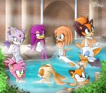 2018 6+girls 8girls :3 amber_eyes amy_rose anthro avian back_wings badger bat bathing bathing_together beak biko97 bird blaze_the_cat blue_eyes breasts building closed_eyes covering covering_breasts cream_the_rabbit domestic_cat echidna eulipotyphlan feathers felid feline felis female fur green_eyes group group_bathing hair hedgehog hirundinid holding_own_leg hot_spring lagomorph leporid mammal marine_the_raccoon monotreme multicolored_hair mustelid musteline nude open_mouth open_smile orange_body orange_fur oscine outside partially_submerged passerine pink_body pink_fur plant procyonid purple_body purple_feathers purple_fur rabbit raccoon rouge_the_bat sega sitting smile sonic_adventure sonic_boom sonic_riders sonic_the_hedgehog_(series) steam sticks_the_jungle_badger swallow_(bird) tail tan_body tan_fur tikal_the_echidna towel towel_only two_tone_hair water wave_the_swallow wet white_body white_fur wings