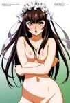 ai_generated brown_hair hand_on_breast ikkitousen nude small_breasts teni