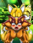 1boy 2girls absurd_res ahegao badger blush breasts ffm_threesome fox foxiumart furry furry_female furry_male hetero high_res male miles_"tails"_prower multiple_girls naughty_face nipples open_mouth orange_fur sega sex_from_behind sonic_boom sonic_the_hedgehog_(series) sticks_the_badger threesome tongue tongue_out two_tone_fur yellow_fur zooey_the_fox