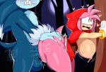 amy rose from sonic the hedgehog (series)