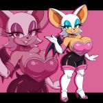 rouge the bat from sega by iggy-bomb
