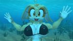 cream the rabbit from sega by kuby64