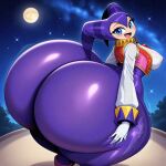 nights from nights into dreams