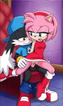 amy rose from sonic the hedgehog (series)