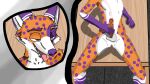  ameth_oc animal_humanoid anus balls cum cum_shot erect_penis erection fox fox_ears furry kitchen legs_spread masturbation masturbation mouth_open night nude orange_fur penis penis penis purple_fur spotted_body spotted_fur table tight_ass tongue tongue_out white_fur 